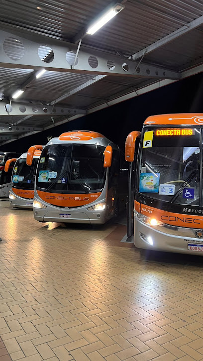 Aluguel de Onibus - Conecta Bus