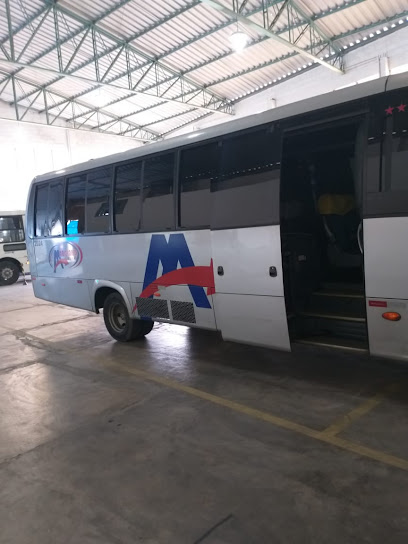 Marcinho Turismo Vans