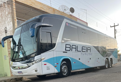 Baleia Turismo