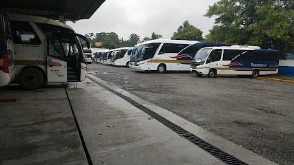 Taipastur Transportes Turísticos