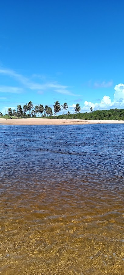 Viajar Barato