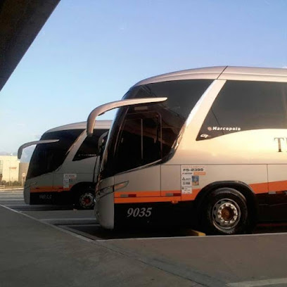 Trans Vip Transportes e Turismo