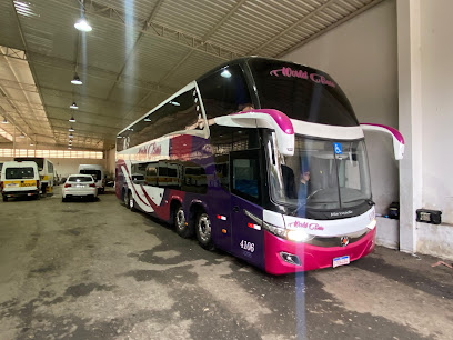 World Bus