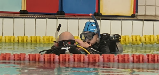 Diving College