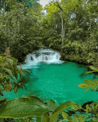 Jalapão Titans Ecoturismo