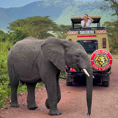 Photo Safari Expedições