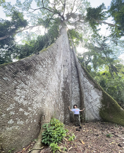 Vivalá - Turismo Sustentável no Brasil
