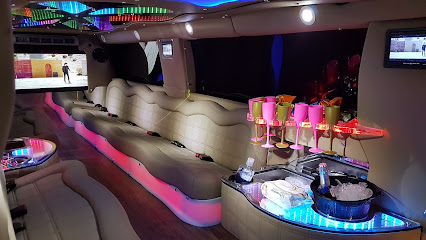 Silvestre Limousines Carros